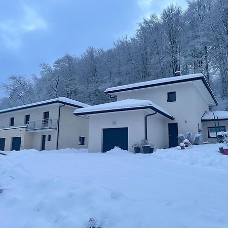 Zen Vanilla Home, Maison Exotique Entre Annecy Et Geneve Cruseilles Extérieur photo