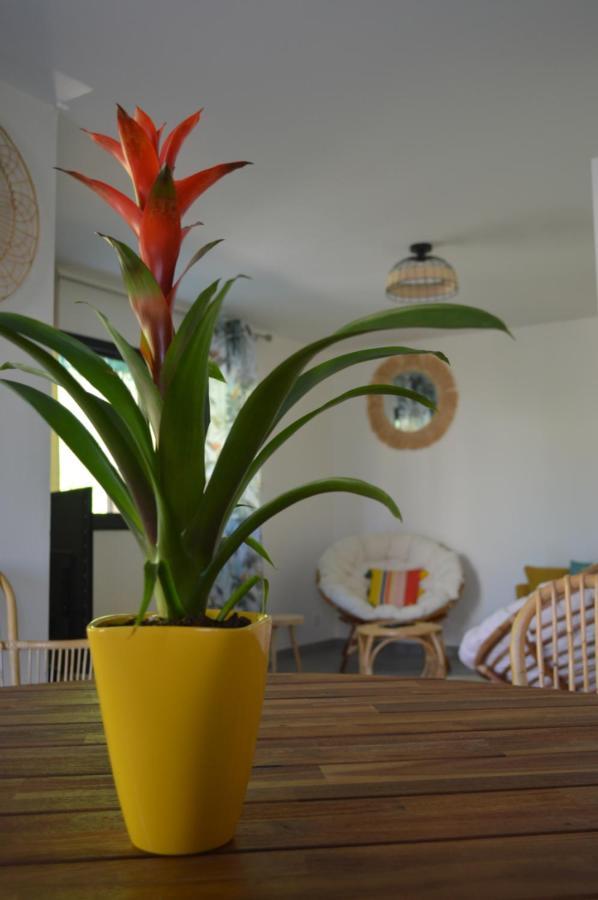 Zen Vanilla Home, Maison Exotique Entre Annecy Et Geneve Cruseilles Extérieur photo